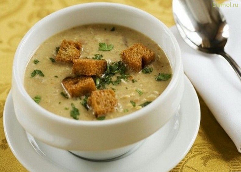 Пивной суп со сметаной по-варшавски