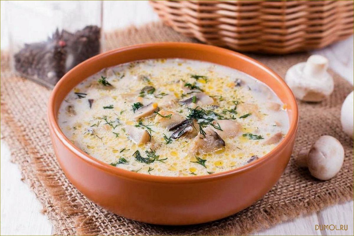 Грибной суп с плавленым сыром: рецепт приготовления и секреты
