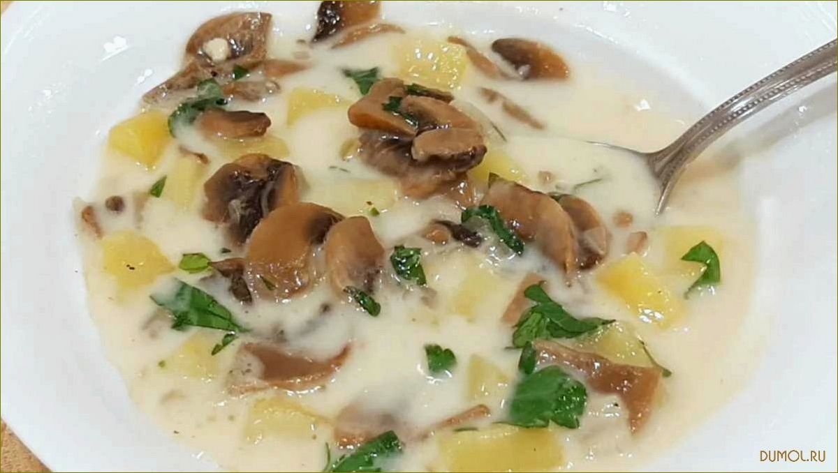 Грибной суп с плавленым сыром: рецепт приготовления и секреты