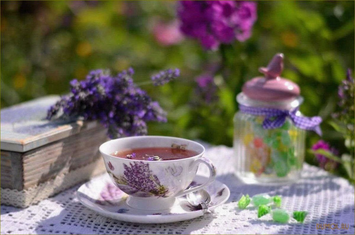 Летний чай: вкусные и освежающие напитки для жаркого времени года