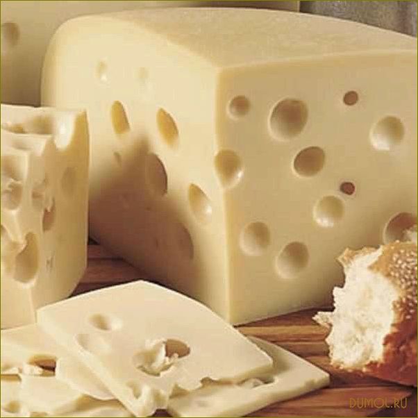 Сыр швейцарский в домашних условиях