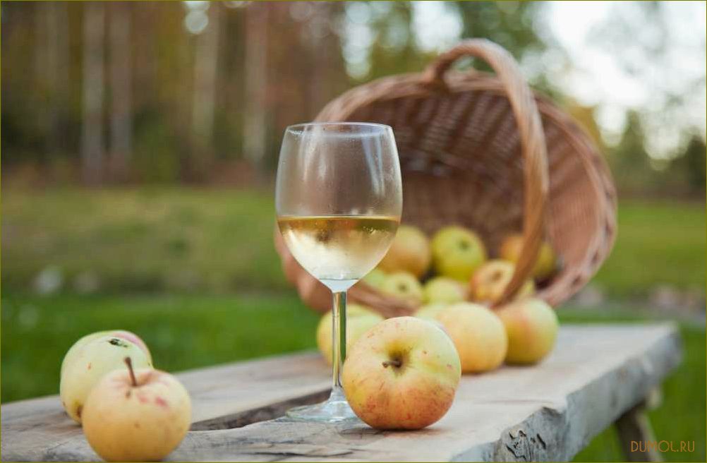 Вино из груш: рецепты и советы по приготовлению