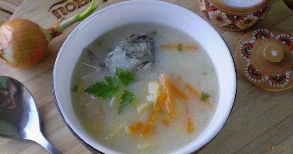 Суп из рыбных голов: рецепты и секреты приготовления