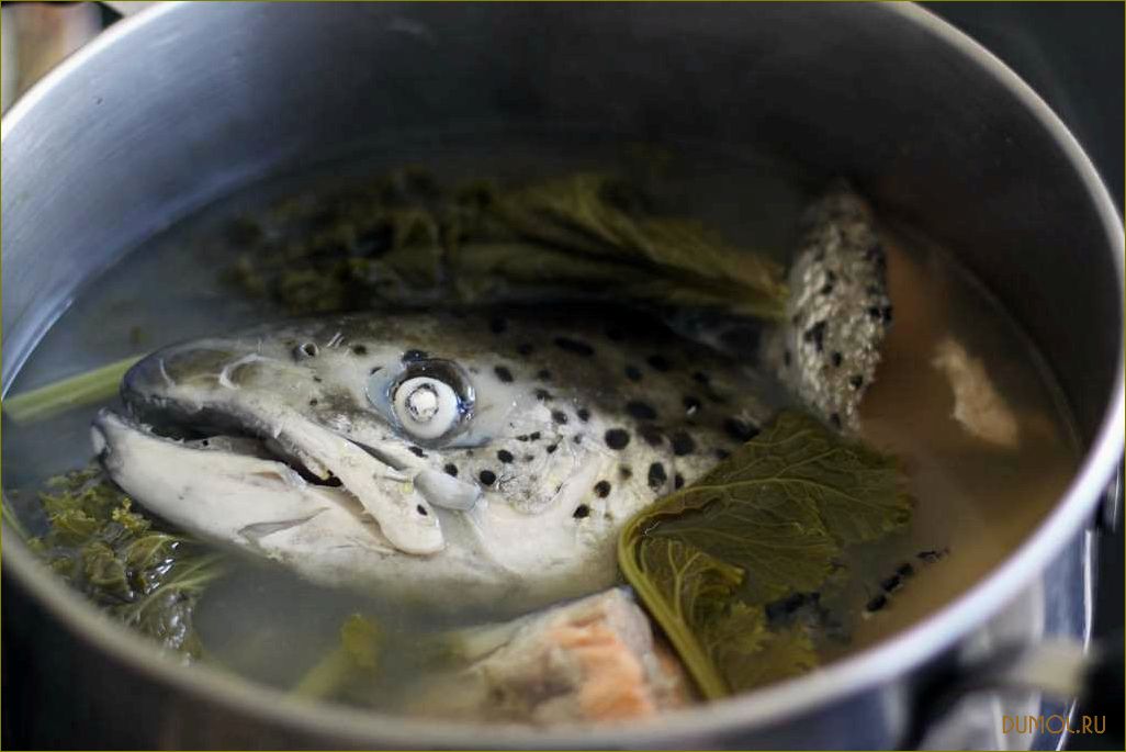 Суп из рыбных голов: рецепты и секреты приготовления