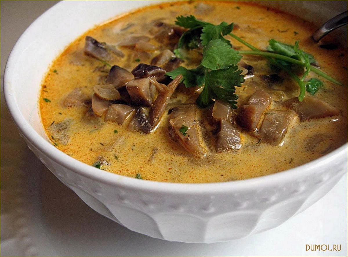 Рецепт супа с мясом и грибами