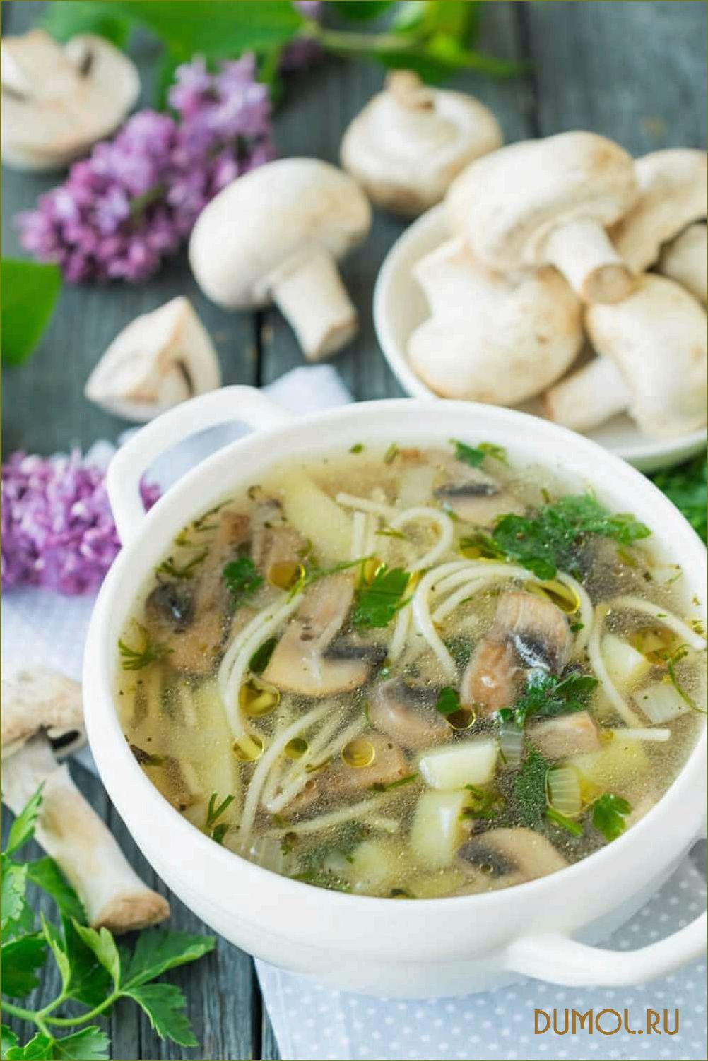 Рецепт супа с мясом и грибами