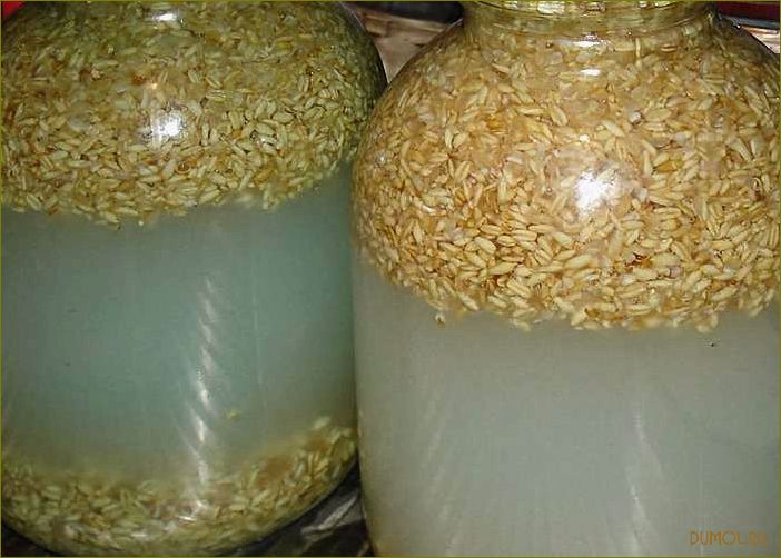 Брага из пшеницы без дрожжей: рецепт и советы