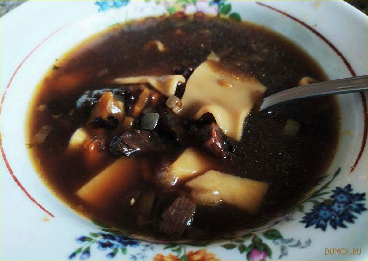 Грибной суп из сушеных грибов: рецепты и советы по приготовлению