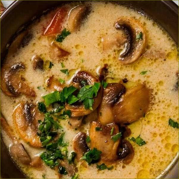 Грибной суп из сушеных грибов: рецепты и советы по приготовлению