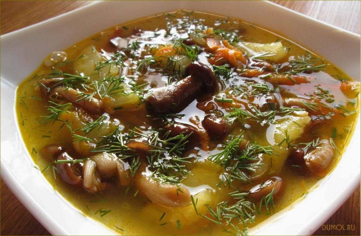 Рецепт супа с лесными грибами