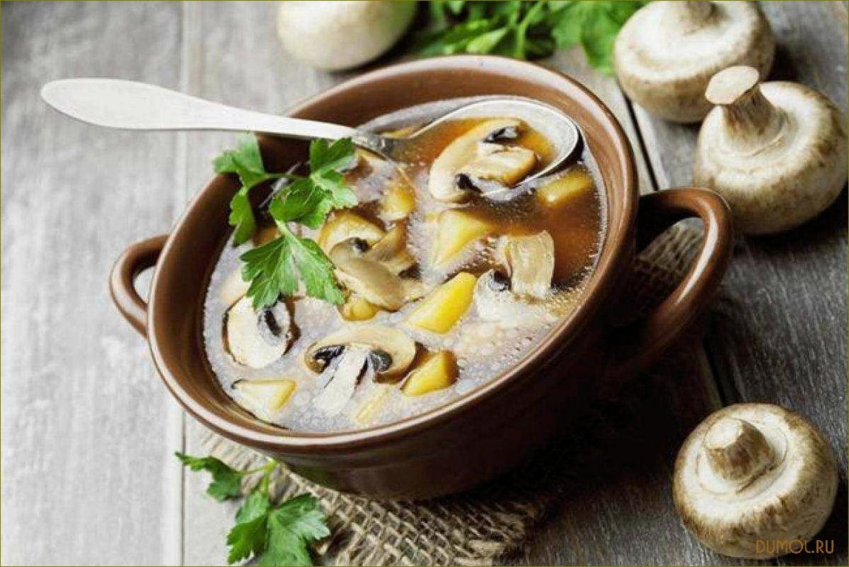 Рецепт супа с лесными грибами