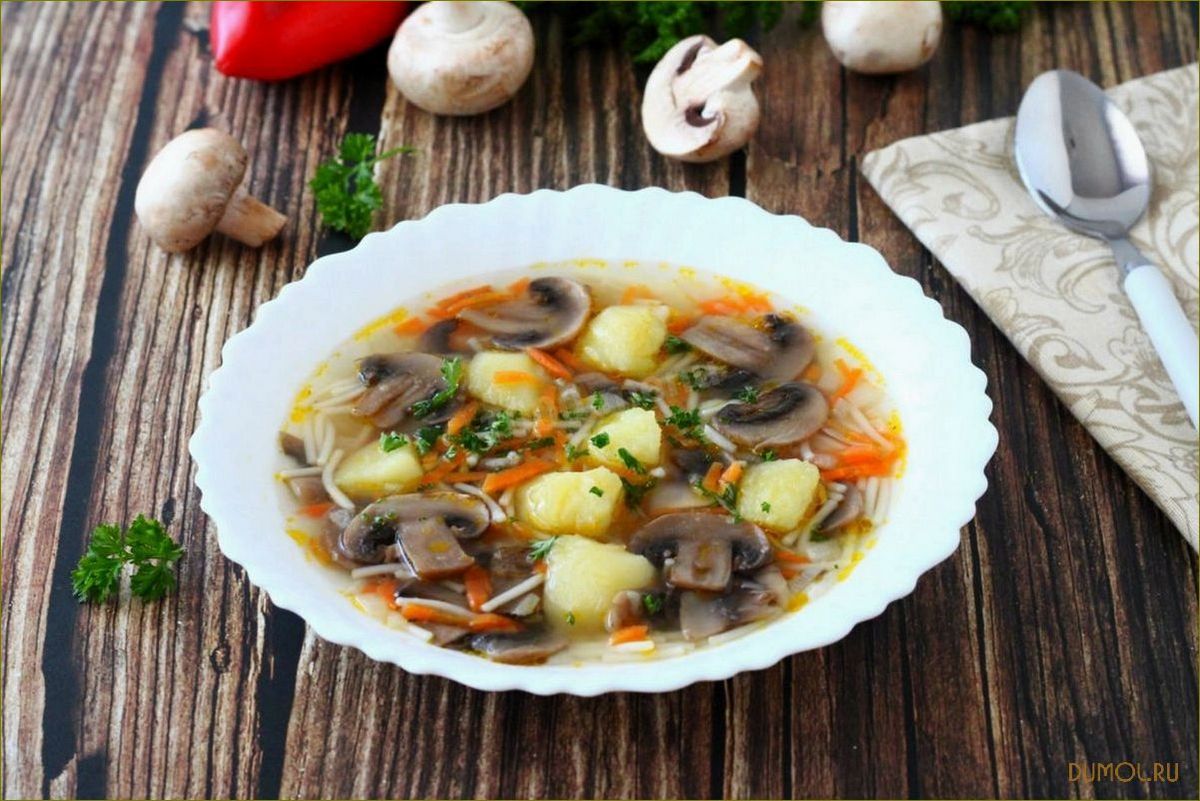 Рецепт супа из белых грибов с вермишелью