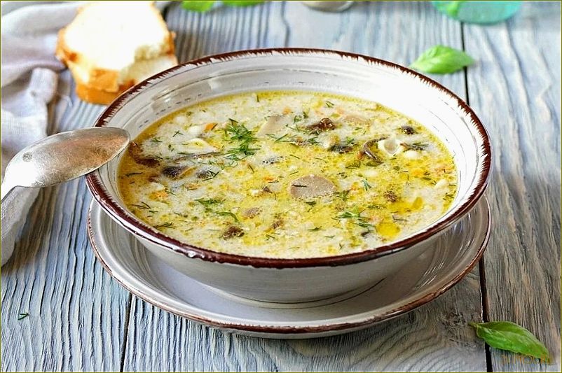 Рецепт супа из белых грибов с вермишелью