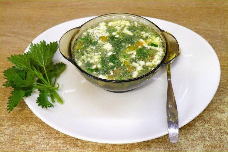 Вегетарианский суп из крапивы