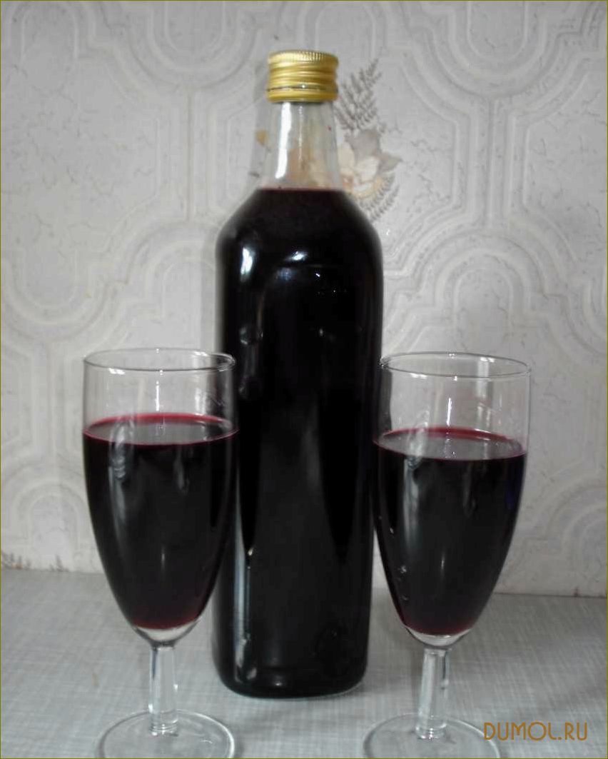 Вино из черной смородины: рецепты и советы