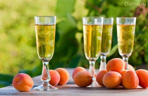 Абрикосы в белом вине с мятой (абрикосы, белом, вине) Абрикосы в белом вине с мятой