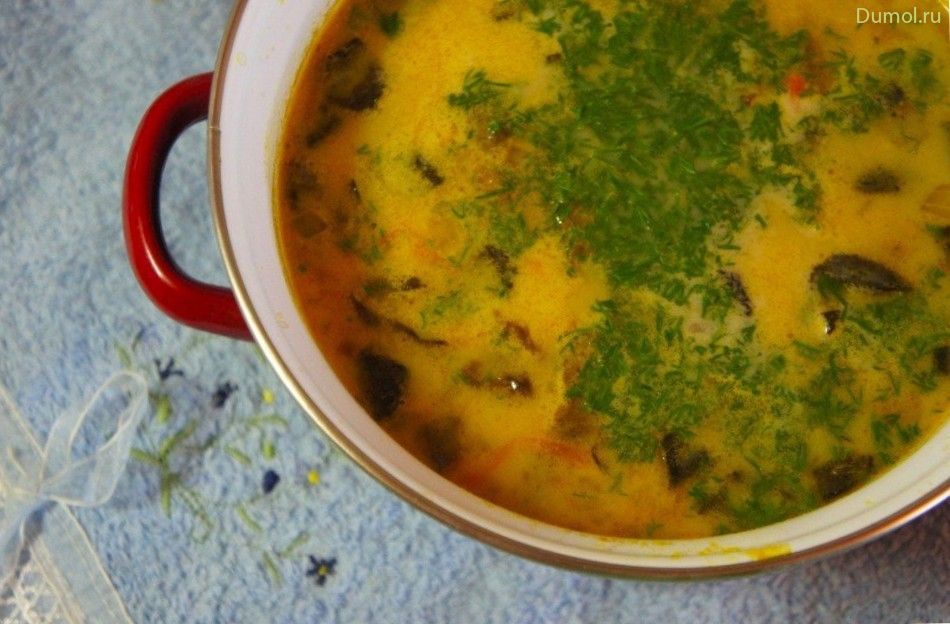 Ароматный суп из сушеных грибов с рисом (ароматный, сушеных) Ароматный суп из сушеных грибов с рисом