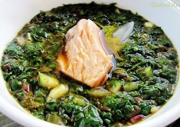 Ботвинья классическая с рыбой