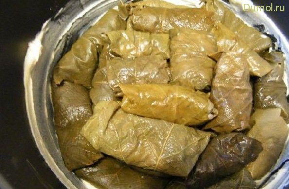 Долма в мультиварке (долма, мультиварке) Долма в мультиварке