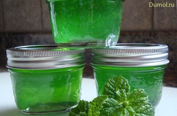 Домашнее варенье из мяты и лимона (домашнее, варенье) Домашнее варенье из мяты и лимона