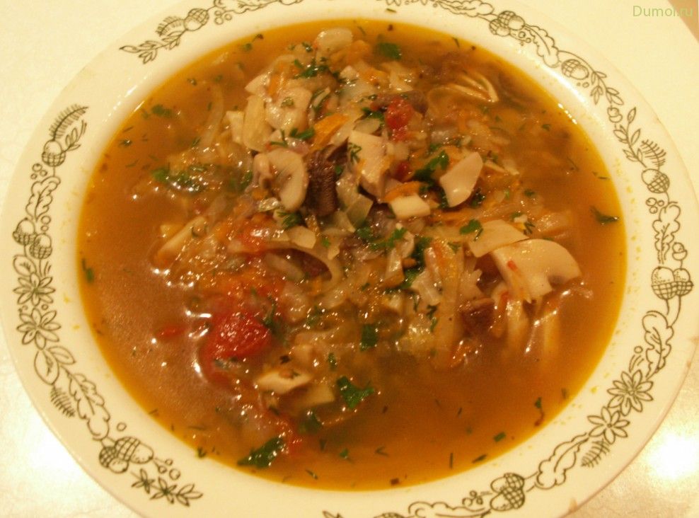 Домашняя грибная солянка