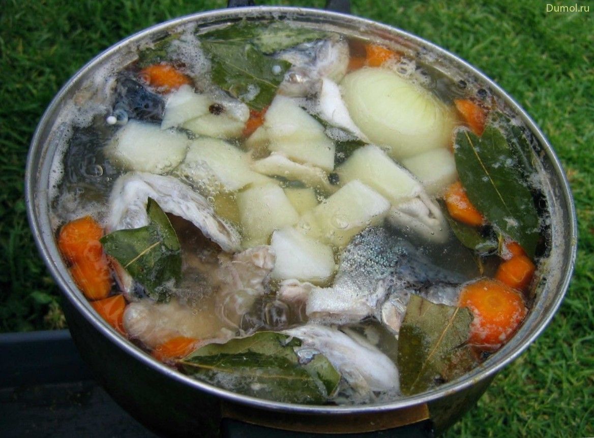 Рыболовная уха из небольшой и большой рыбы