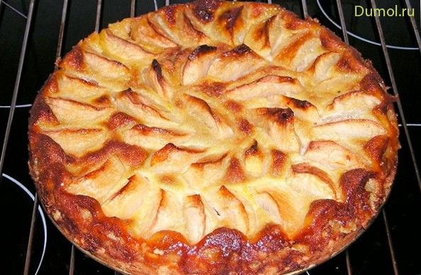 Шарлотка с яблоками и клюквой в духовке (шарлотка, яблоками) Шарлотка с яблоками и клюквой в духовке