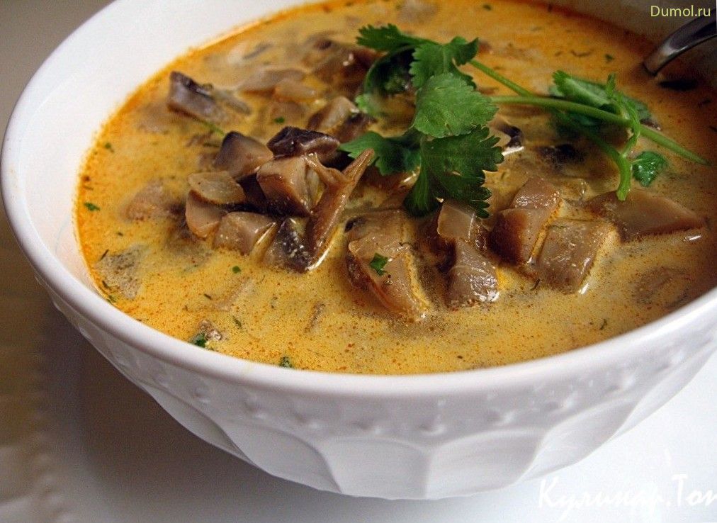 Щи с шампиньонами и мясом (шампиньонами, мясом, шампиньонами мясом, капуста) Щи с шампиньонами и мясом