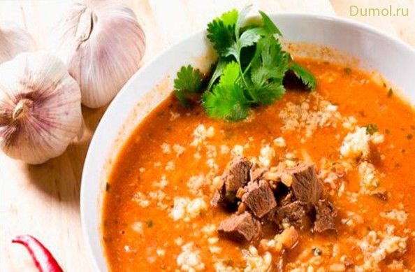 Суп харчо по-грузински с грецкими орехами (харчо, по-грузински, грецкими) Суп харчо по-грузински с грецкими орехами