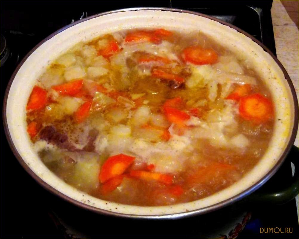 Суп из лосятины: рецепты и секреты приготовления