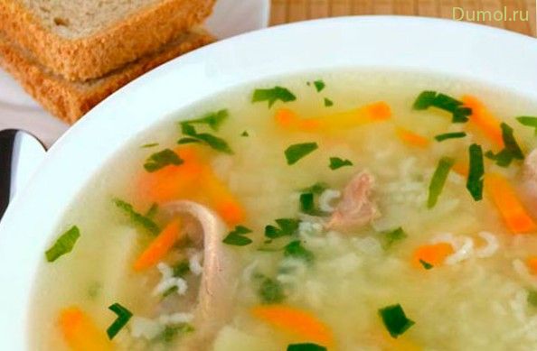 Суп из утки по-домашнему (утки, по-домашнему) Суп из утки по-домашнему