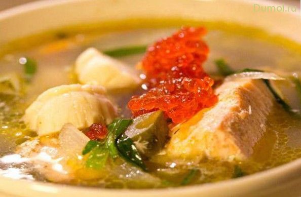 Суп калья из рыбы по-русски