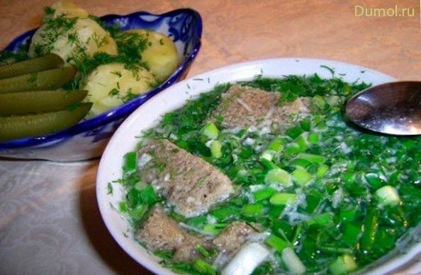 Тюря на воде русская