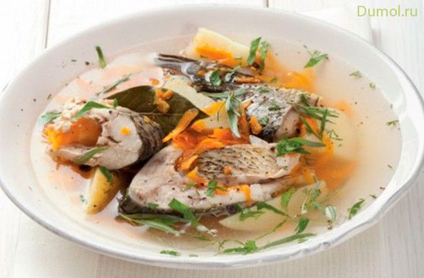 Уха из речной рыбы с корнем пастернака