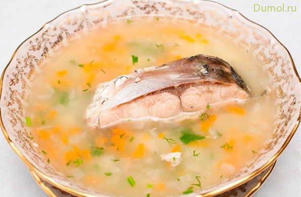 Уха из щуки с манной крупой