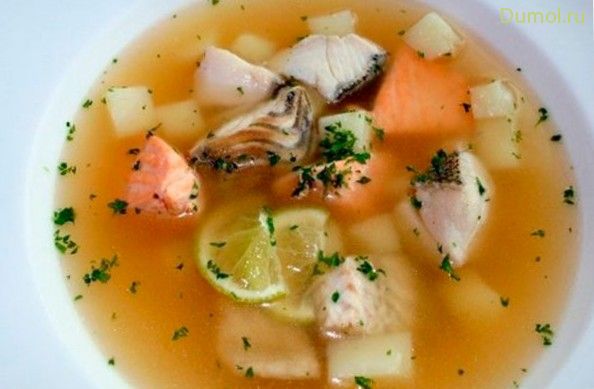 Уха из скумбрии с зеленью