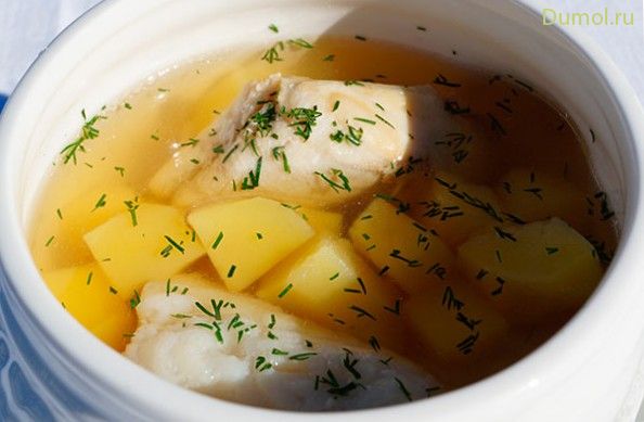 Уха на тройном бульоне