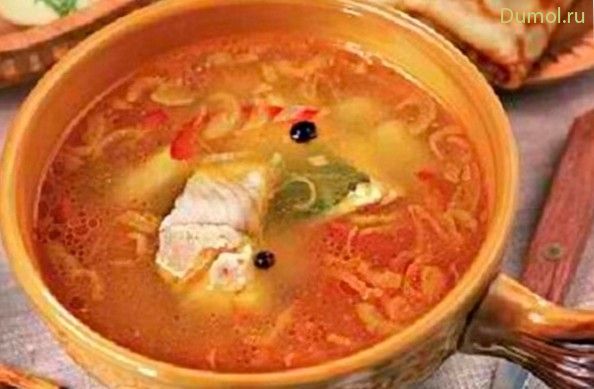 Уха ростовская из судака и рыбной мелочи (ростовская, судака, рыбной) Уха ростовская из судака и рыбной мелочи