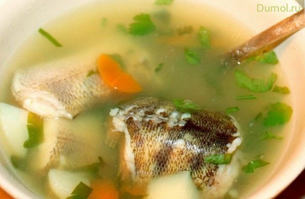 Уха с судаком и курицей