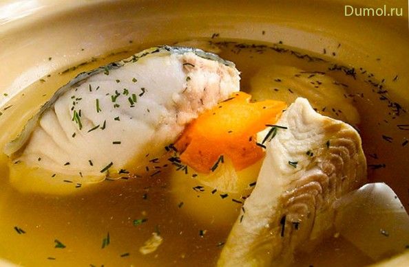 Уха с водкой по-русски