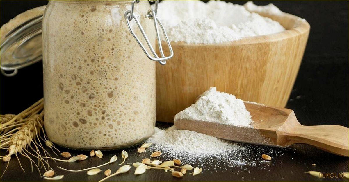 Закваска для хлеба без дрожжей: рецепты и советы