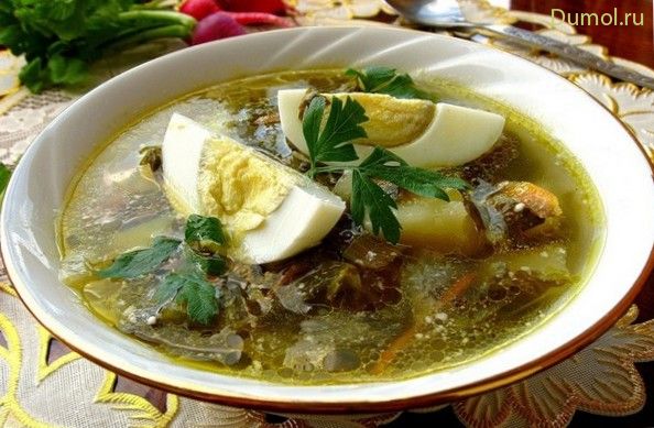 Зеленый борщ со щавелем по-домашнему (зеленый, борщ, жир) Зеленый борщ со щавелем по-домашнему