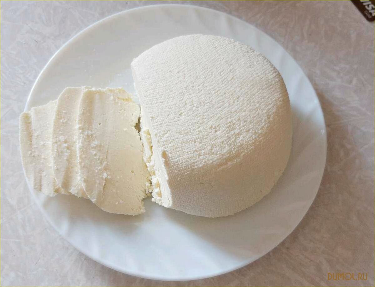 Сыр из сухого молока — вкусное и полезное лакомство