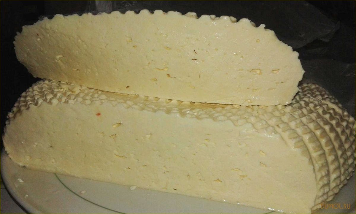 Сыр из сухого молока — вкусное и полезное лакомство