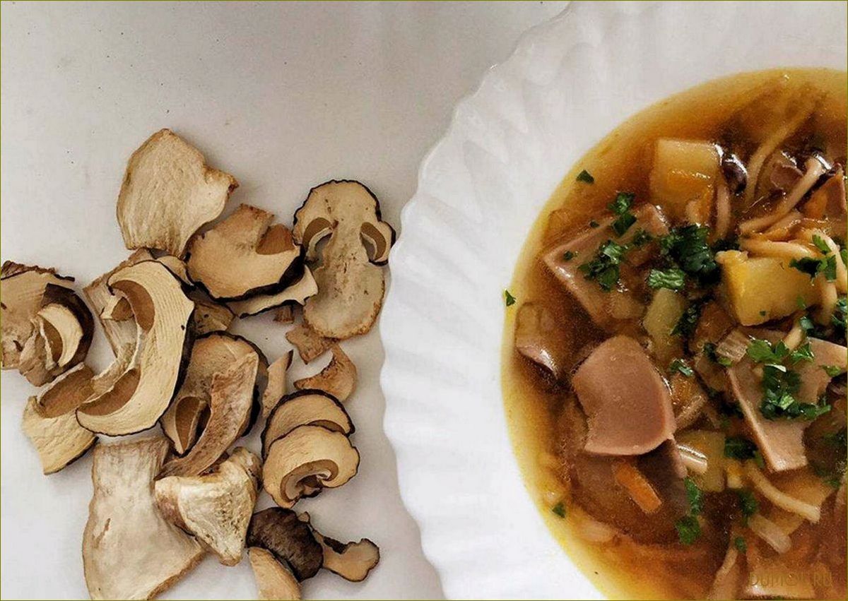 Грибной суп из белых грибов: рецепт приготовления