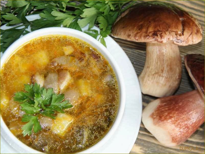 Грибной суп из белых грибов: рецепт приготовления