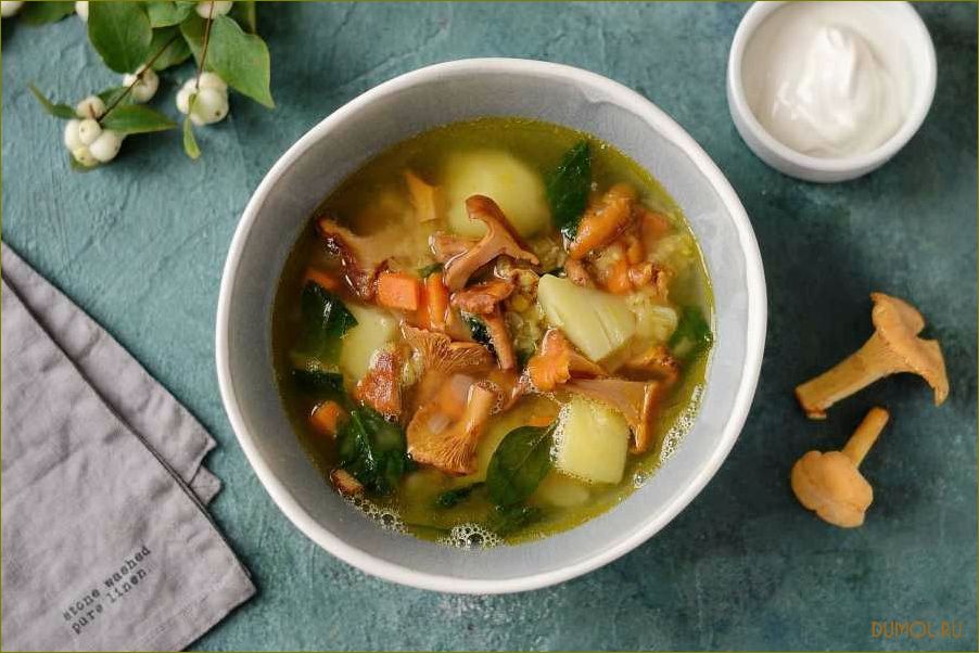 Деревенский суп с лисичками: рецепт и секреты приготовления