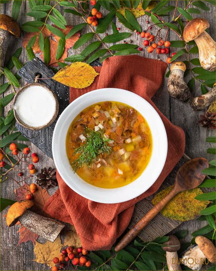 Деревенский суп с лисичками: рецепт и секреты приготовления