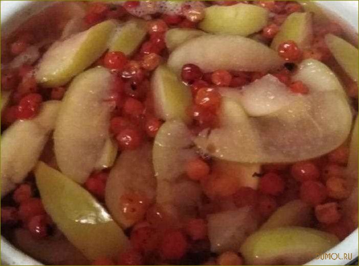 Рецепт компота из калины и яблок