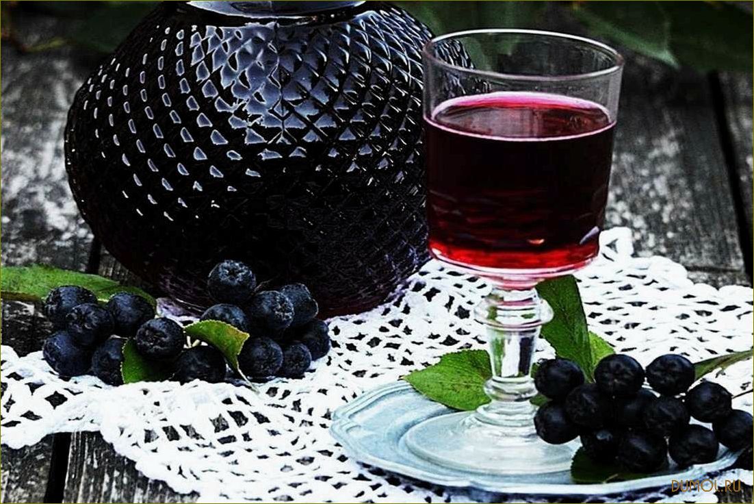 Вино из черноплодки в домашних условиях: рецепты и советы